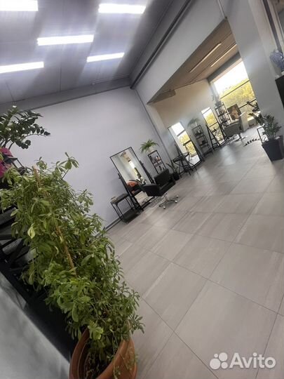 Сдам в аренду