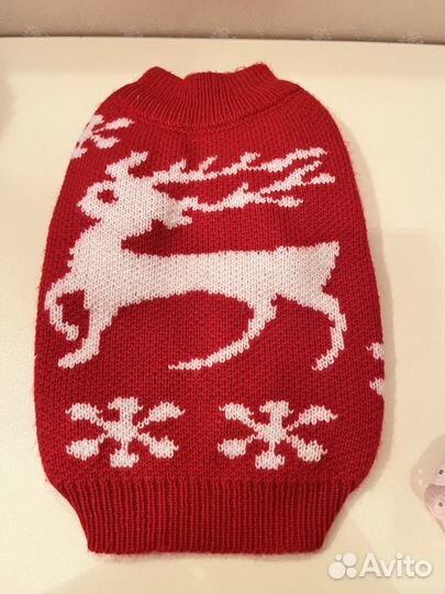 Одежда для собак мелких пород, лоток, переноска