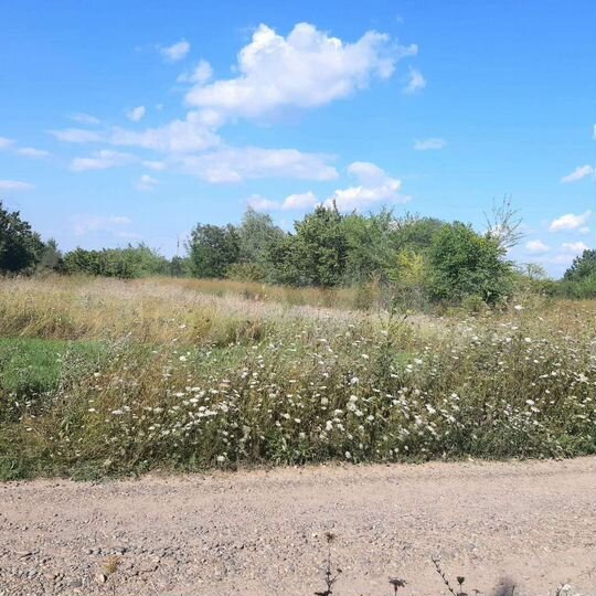 Участок 15 сот. (ИЖС)