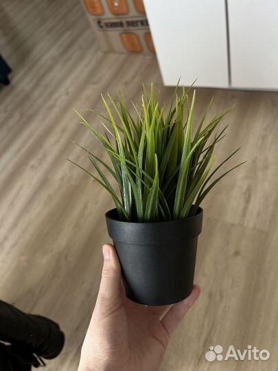 Искусственная трава