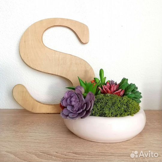 Композиция в кашпо с суккулетами и мхом