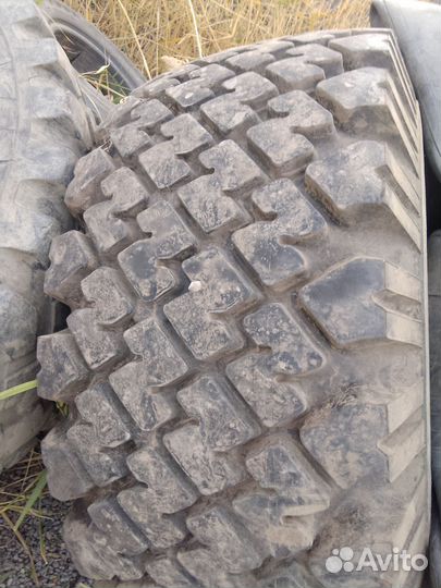 Шины 1300*530-533 лаптежник