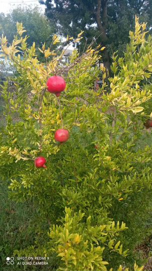 Дом 200 м² на участке 13 сот.