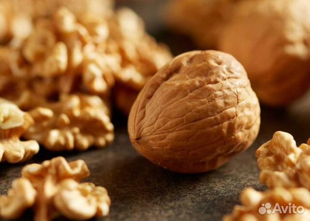 Саженцы фундука и грецкого ореха