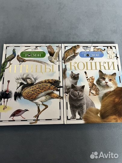 Детская энциклопедия росмэн Птицы, Кошки