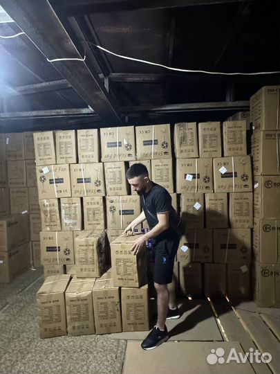 Оптом Вентиляторы