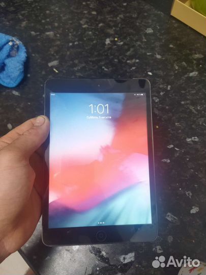 iPad mini 2