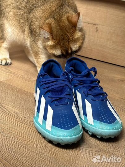 Сороконожки футбольные adidas X Crazyfast.3 Tf