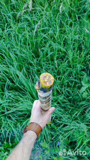 Посох дождя