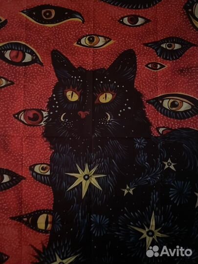 Картина постер кот глаза