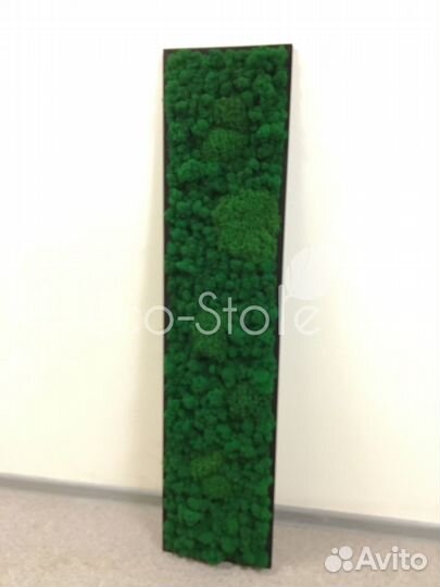 Буквы из мха. Логотип из мха