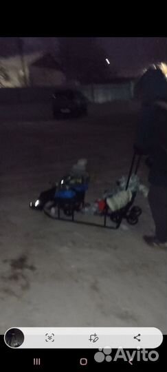 Санки коляска