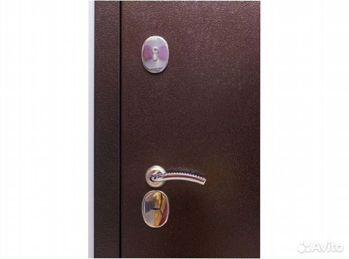 Электронная входная дверь с биометрическим замком