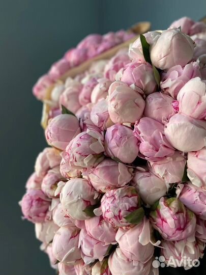 Пионы букет