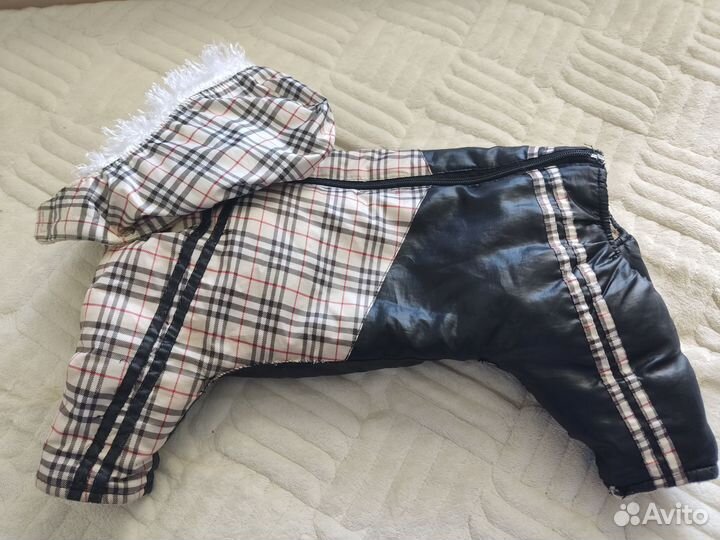 Одежда для собак