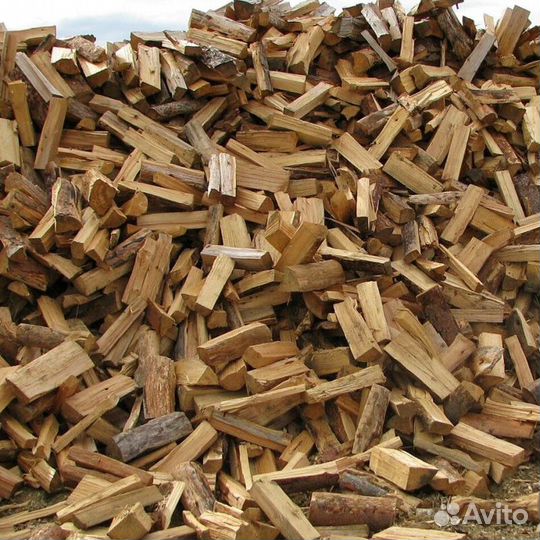 Дрова Береза