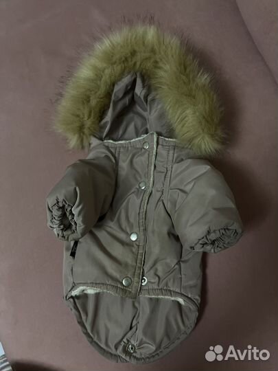 Куртка для собак мелких пород