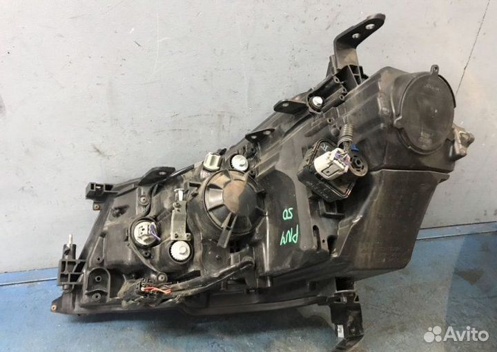 Фара галоген правая Nissan Fuga Y50