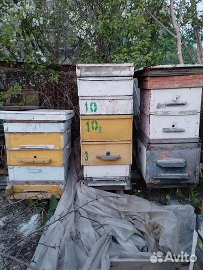 Продам медогонку, бочки, рамки