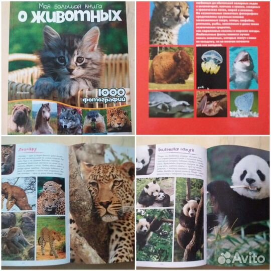 Энциклопеции о животных