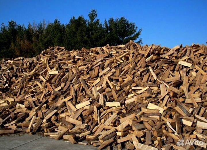 Дрова без гнили