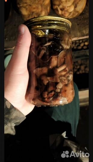 Грибы опята маринованные