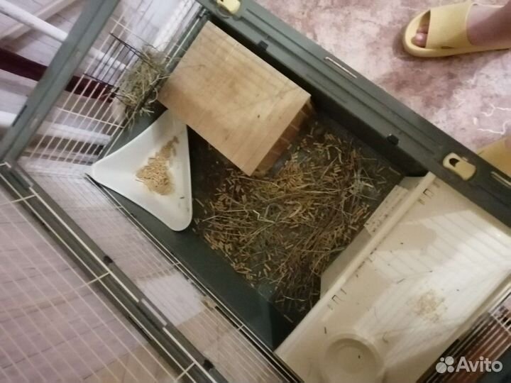 Клетка и вольер