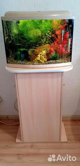 Аквариум 60 л с тумбой готовый