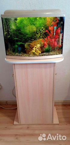 Аквариум 60 л с тумбой готовый