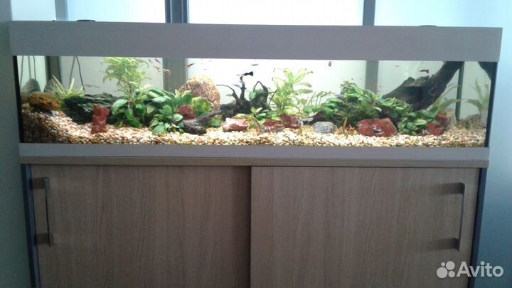 Обслуживание аквариумов,терра ремонт светильников