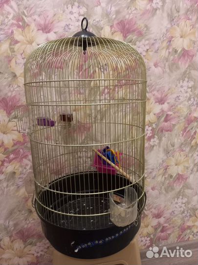 Клетка на подставке для птиц