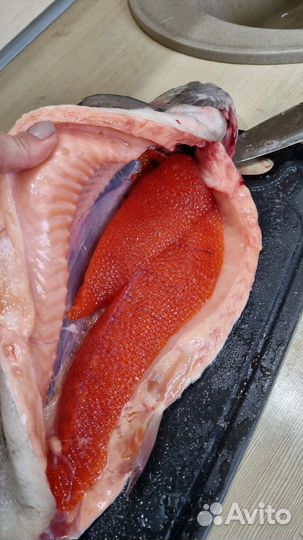 Форель охлажденная псг +2