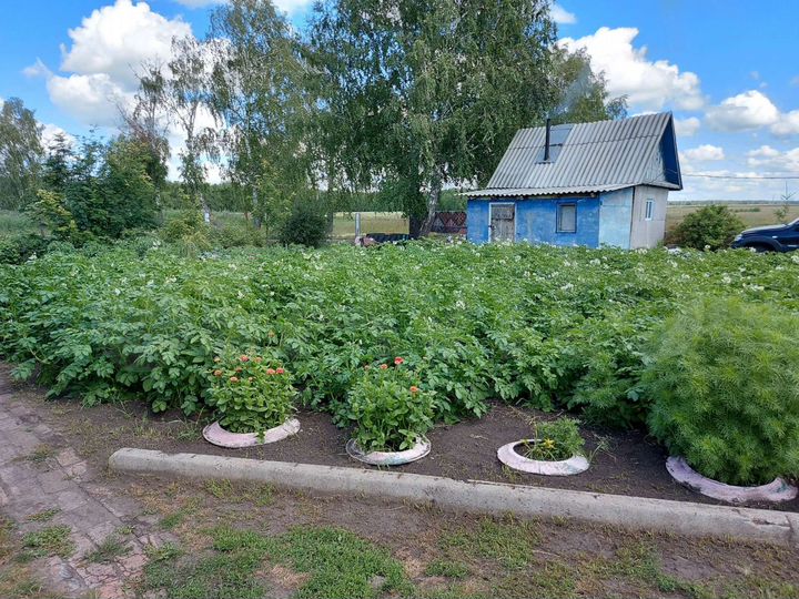 Дом 103 м² на участке 14 сот.