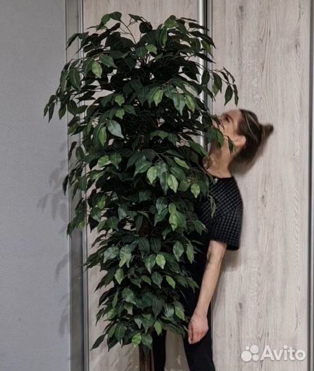 Искусственное дерево