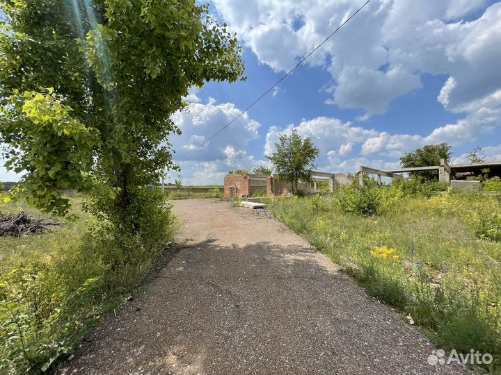 Птицеферма, гусная ферма