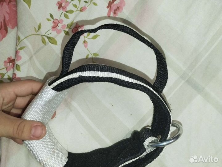 Амуниция для собак, фурнитура для ошейников