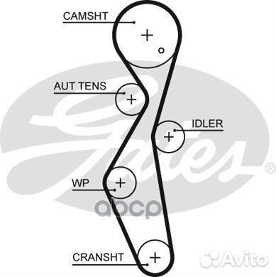 Комплект ремня грм ford 2.0D 14- (с помпой) KP2