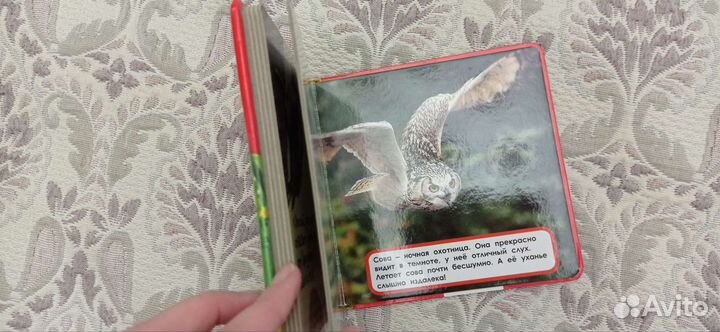 Книга для самых маленьких 