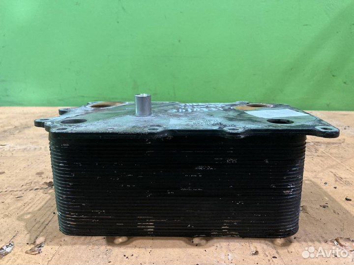 Радиатор маслянный DAF XF105