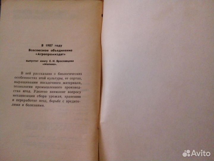 Курьянов М.А.Рябина садовая