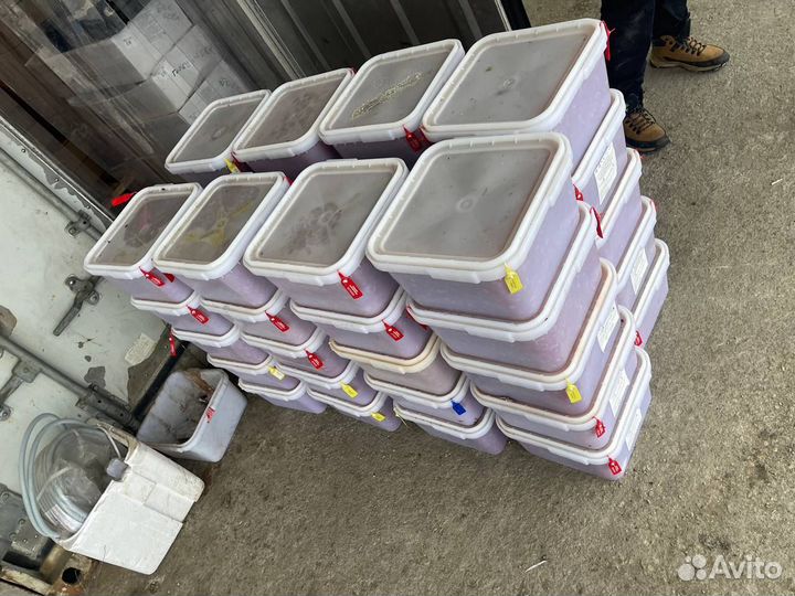 Камчатская красная икра оптом