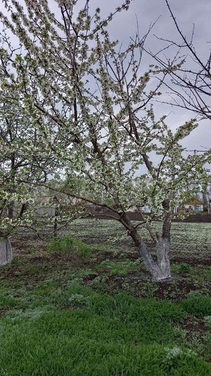 Дом 33,4 м² на участке 15 сот.