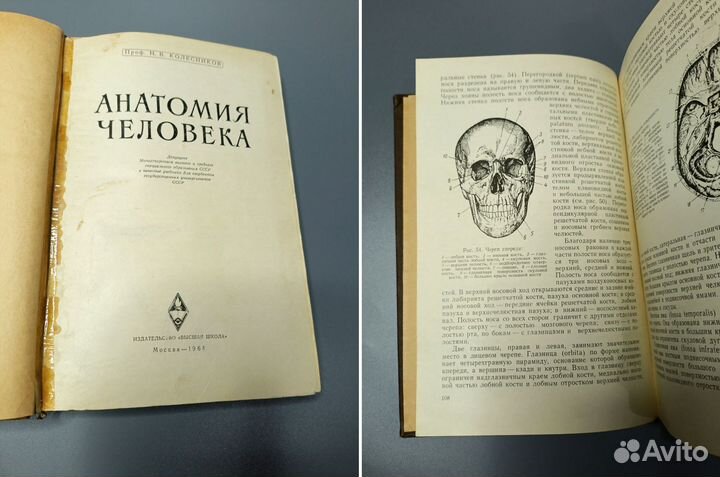 Анатомия человека Колесников