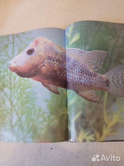 Книги по аквариумистике