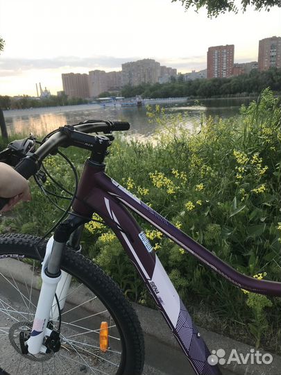 Stinger Велосипед Стингер Siena Evo 27.5