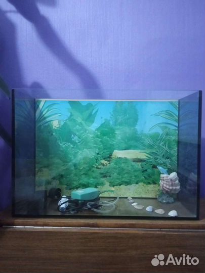 Аквариум