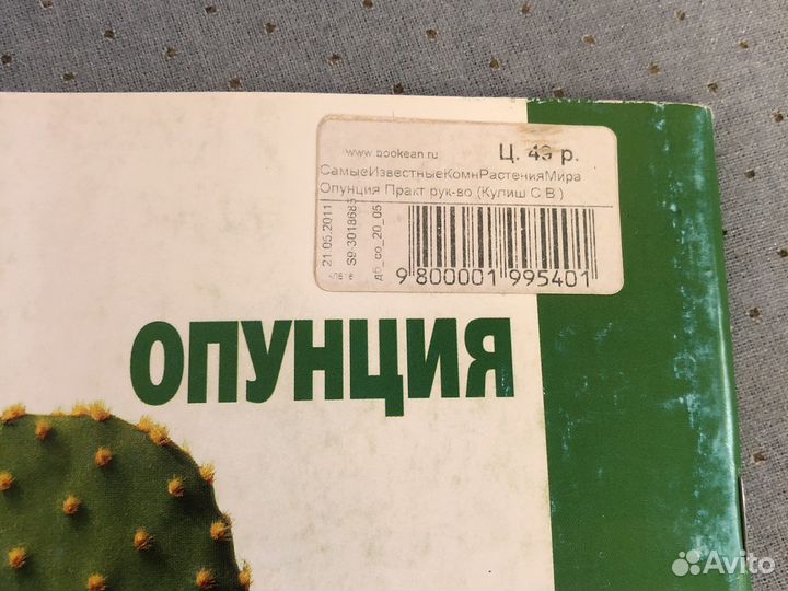 Книга про кактусы