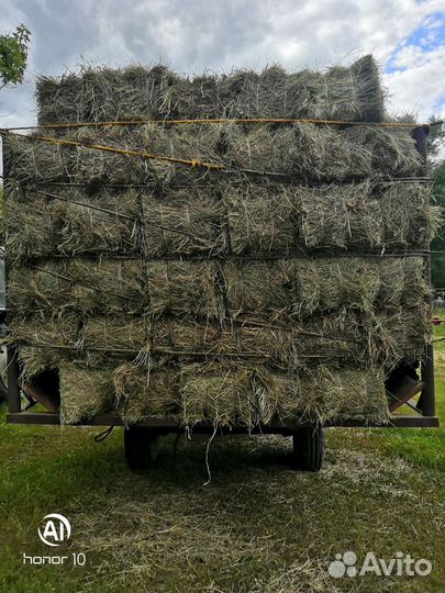 Сено в тюках 2023