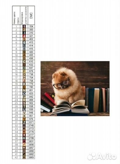 Алмазная мозаика на подрамнике 40*50 Шпиц собака