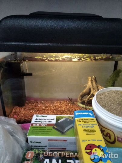 Аквариум с рыбками